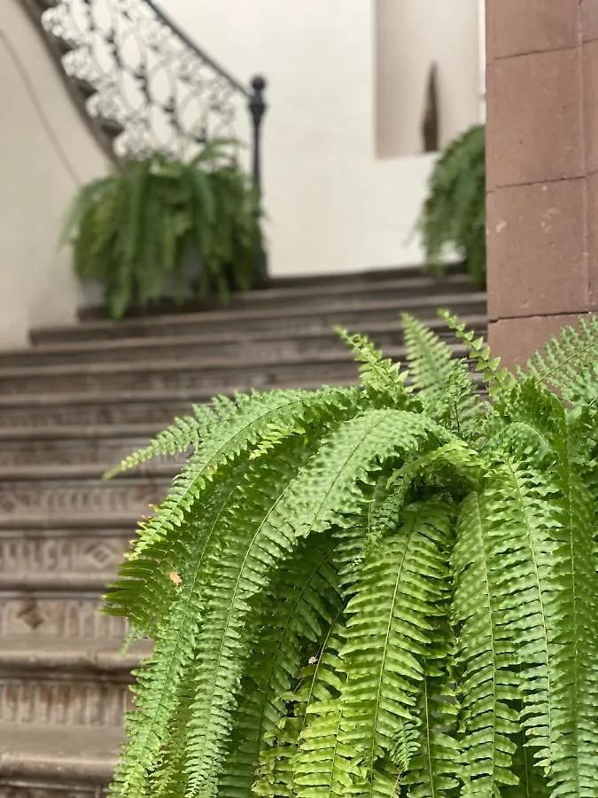 Markee Hotel Boutique Querétaro México